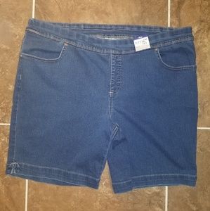 Women's Terra & Sky Blue Shorts Size 2X